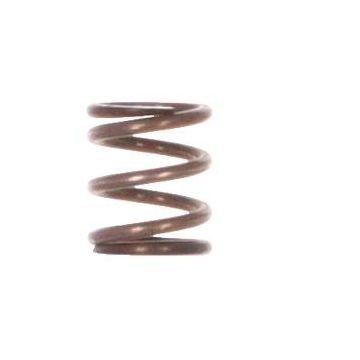 L-71013 Opening Roll Spring 