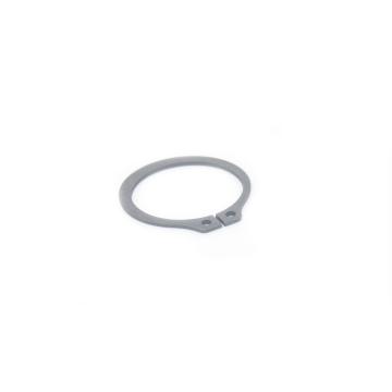 RW-600164307 Retaining Ring